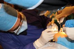 18 th International congress of Iranian association of oral and maxillofacial surgeons_14