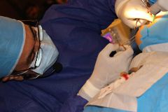 18 th International congress of Iranian association of oral and maxillofacial surgeons_18