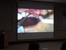 Implant and GBR course in Hamedan_11